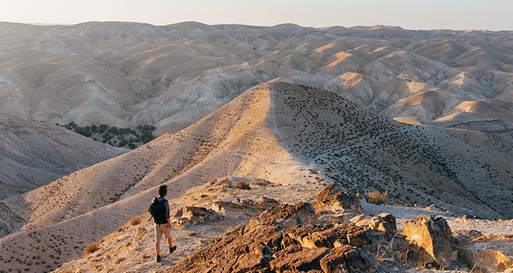 The hike from Nebi Musa to St. George’s Monastery crosses desert terrain above Wado Qelt. Photo by Jonas Opperskalski